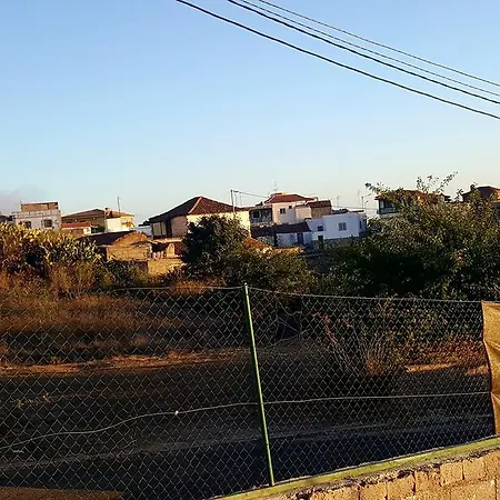 Taucho *