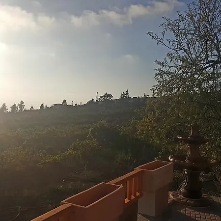 Taucho