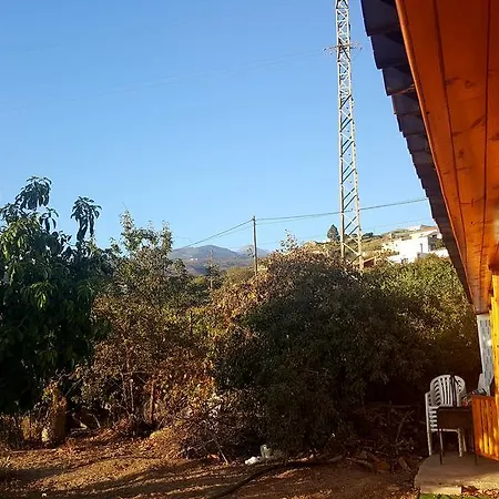 Taucho Costa Adeje (Tenerife)