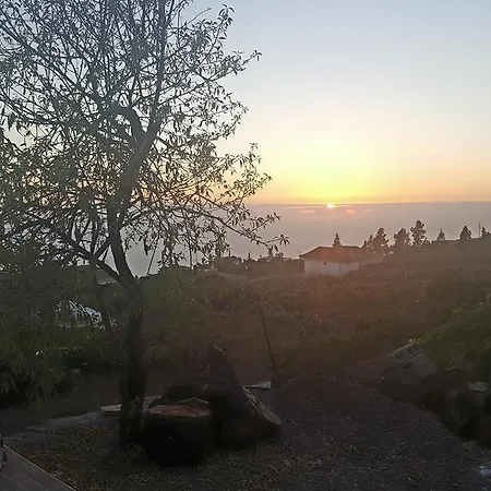 Taucho * Costa Adeje (Tenerife)