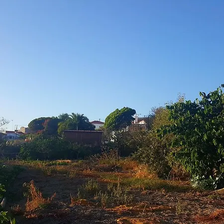 Taucho Costa Adeje (Tenerife)